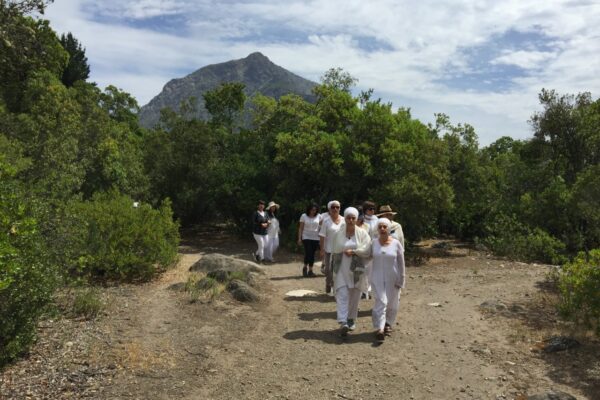 WhatsApp Image 2021-02-21 at 12.19.04 (1)