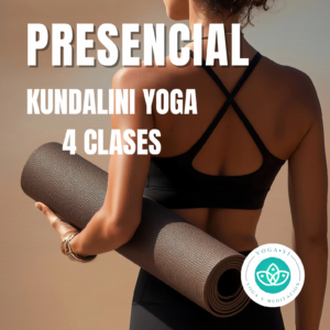 4 clases PRESENCIALES