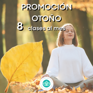 3 meses 8 clases de yoga mensual (24 en total)