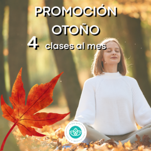 3 meses 4 clases de yoga mensual (12 en total)
